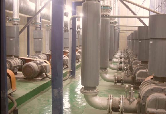 电镀厂用罗茨2020蜜柚直播下载案例